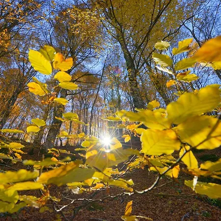 Hotel Holidays A - Natura, Relax E Benessere Nel Parco D'abruzzo Barrea