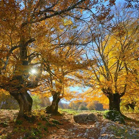 Holidays A - Natura, Relax E Benessere Nel Parco D'abruzzo 3*