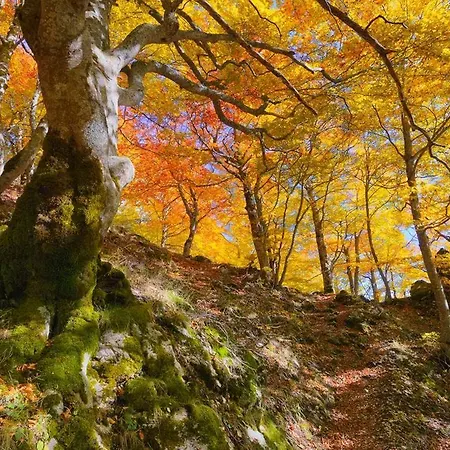 Holidays A - Natura, Relax E Benessere Nel Parco D'abruzzo Hotel