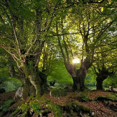 Holidays A - Natura, Relax E Benessere Nel Parco D'abruzzo Hotel