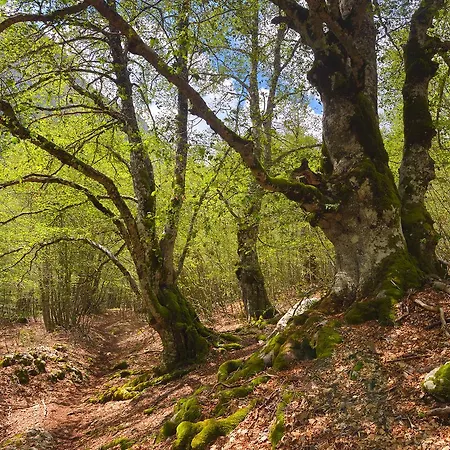 Holidays A - Natura, Relax E Benessere Nel Parco D'abruzzo Hotel Barrea