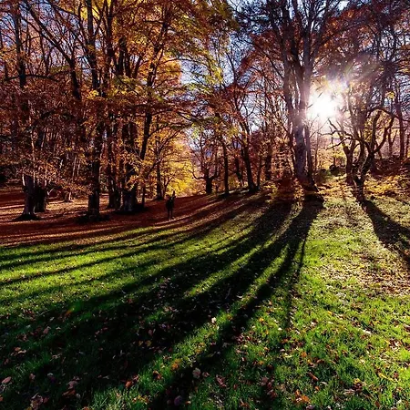 Hotel Holidays A - Natura, Relax E Benessere Nel Parco D'abruzzo