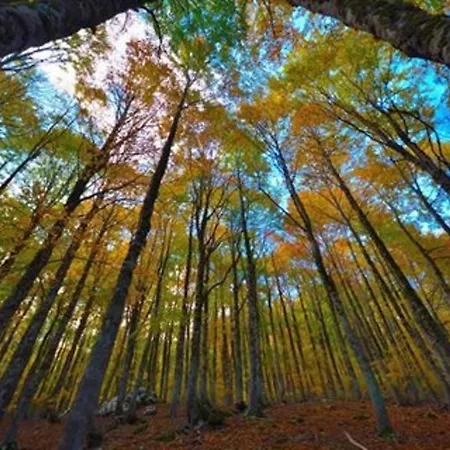 酒店 Holidays A - Natura, Relax E Benessere Nel Parco D'abruzzo 3*