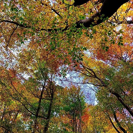 Hotel Holidays A - Natura, Relax E Benessere Nel Parco D'abruzzo Barrea