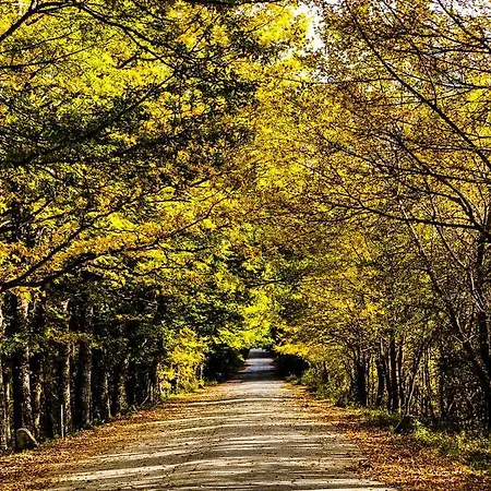 Holidays A - Natura, Relax E Benessere Nel Parco D'abruzzo