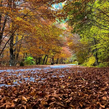 Hotel Holidays A - Natura, Relax E Benessere Nel Parco D'abruzzo 3*