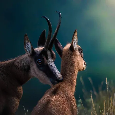 Holidays A - Natura, Relax E Benessere Nel Parco D'abruzzo Hotel Barrea