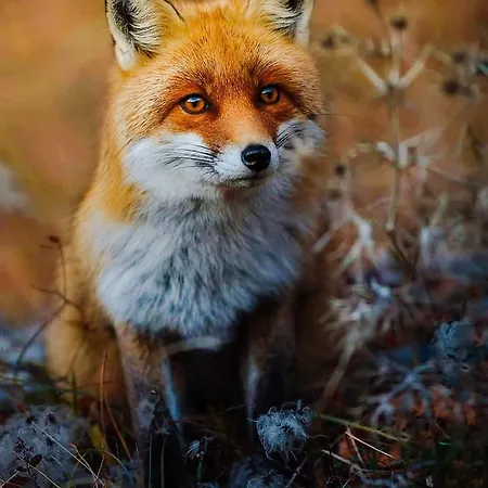 Holidays A - Natura, Relax E Benessere Nel Parco D'abruzzo 3*