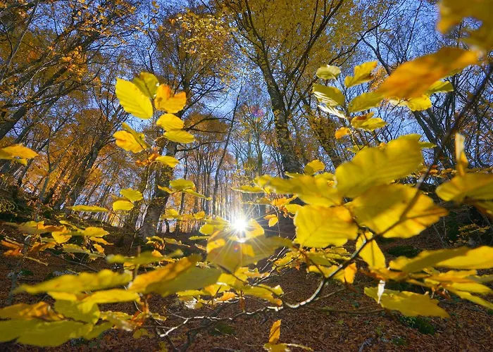 Hotel Holidays A - Natura, Relax E Benessere Nel Parco D'abruzzo Barrea