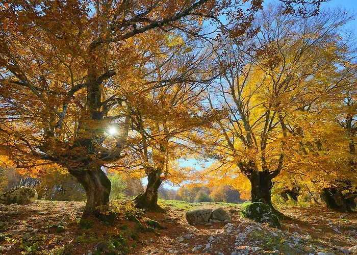 Holidays A - Natura, Relax E Benessere Nel Parco D'abruzzo 3*