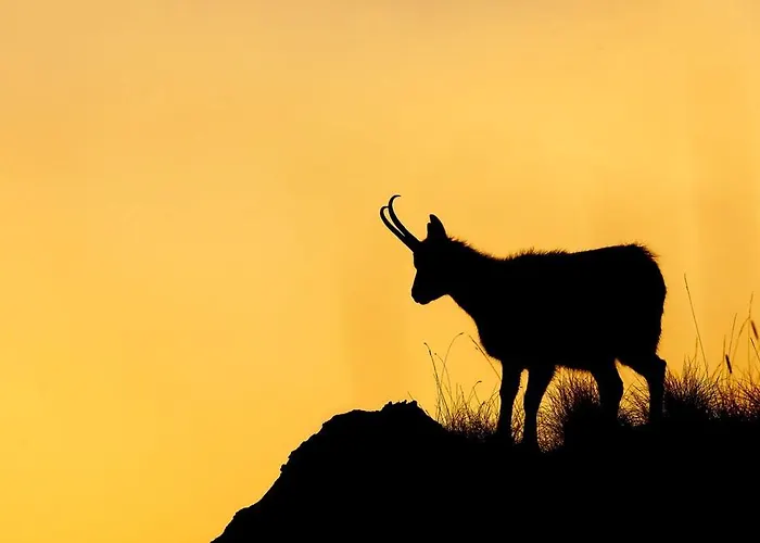 Holidays A - Natura, Relax E Benessere Nel Parco D'abruzzo