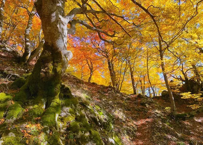 Holidays A - Natura, Relax E Benessere Nel Parco D'abruzzo 호텔