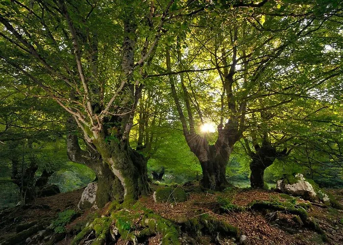 Holidays A - Natura, Relax E Benessere Nel Parco D'abruzzo Hotel