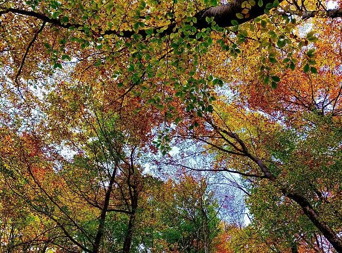 호텔 Holidays A - Natura, Relax E Benessere Nel Parco D'abruzzo 바레아