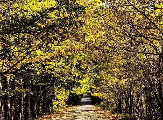 Holidays A - Natura, Relax E Benessere Nel Parco D'abruzzo