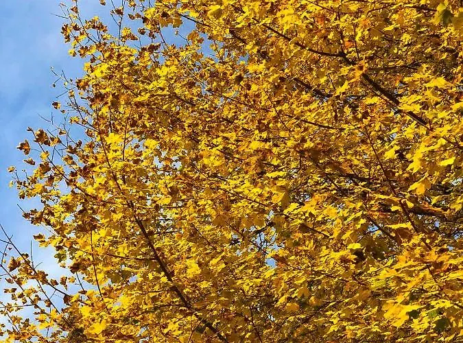 Holidays A - Natura, Relax E Benessere Nel Parco D'abruzzo Hotel 3*