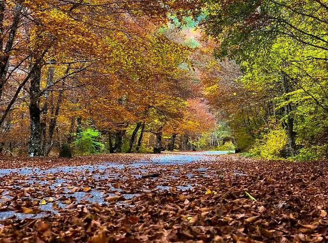 호텔 Holidays A - Natura, Relax E Benessere Nel Parco D'abruzzo 3*