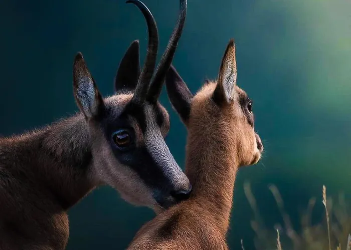 Holidays A - Natura, Relax E Benessere Nel Parco D'abruzzo Hotel Barrea