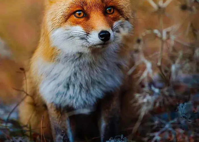 Holidays A - Natura, Relax E Benessere Nel Parco D'abruzzo 3*