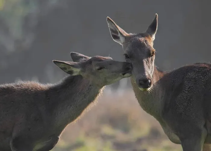 호텔 Holidays A - Natura, Relax E Benessere Nel Parco D'abruzzo